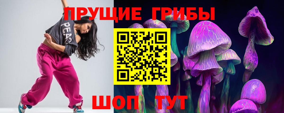 Псилоцибиновые грибы Cubensis  Вход с VPN  Балаково 